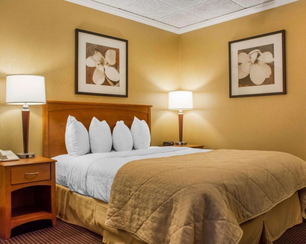 Queen Room - Disability Access interior